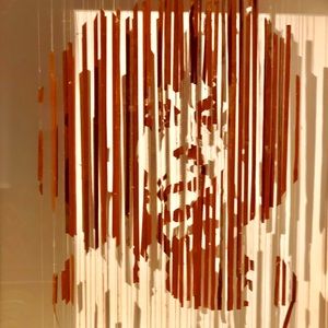 Meet your Posher, Robin